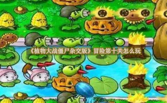 《植物大战僵尸杂交版》冒险第十关怎么玩