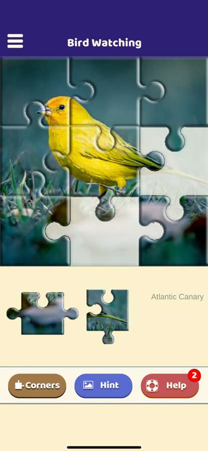 Bird Watching Puzzleios版0
