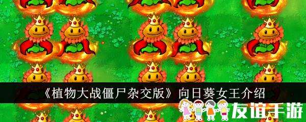 植物大战僵尸杂交版向日葵女王介绍
