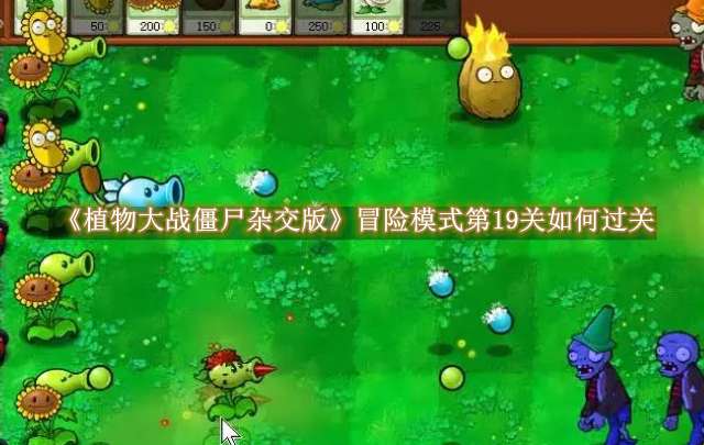 《植物大战僵尸杂交版》冒险模式第19关如何过关
