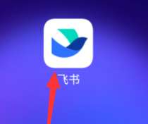 飞书如何创建飞书问卷-飞书创建飞书问卷的方法