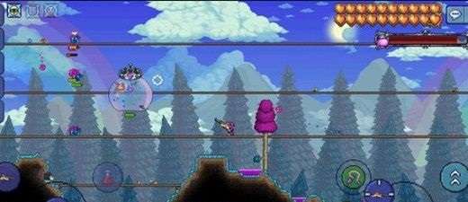 泰拉瑞亚鲨鱼鳍怎么获得-泰拉瑞亚鲨鱼鳍获得攻略