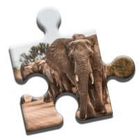Safari Jigsaw Puzzleios版