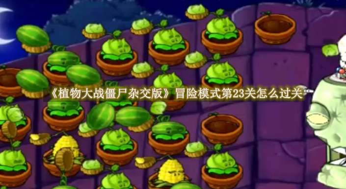 《植物大战僵尸杂交版》冒险模式第23关怎么过关