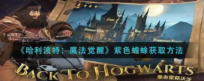 《哈利波特：魔法觉醒》紫色蟾蜍获取方法