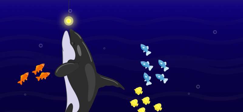 Cat Fishingios版4