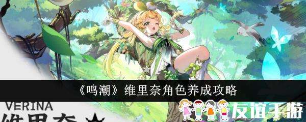 鸣潮维里奈角色养成攻略