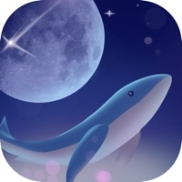 流光之上ios版