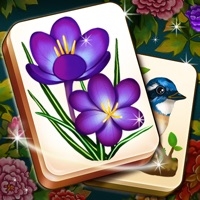 Mahjong Blossom+ios版