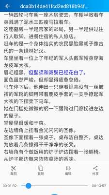 语音转写大师2