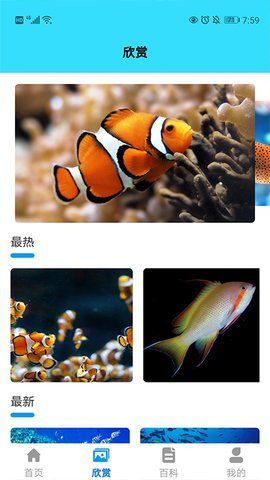 我爱养鱼2