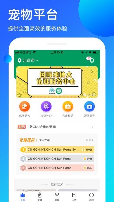 宠爱王国最新版3
