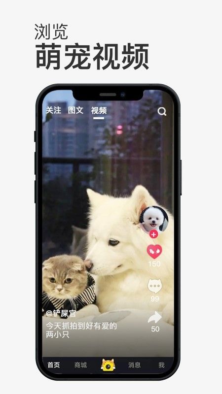 小宠书app3