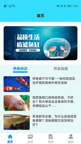 我爱养鱼0