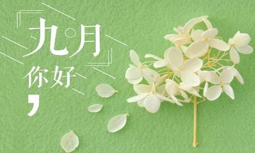 九月第一天朋友圈文案 九月你好的唯美句子 九月你好文案