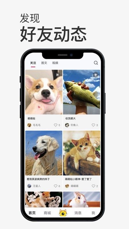 小宠书app0