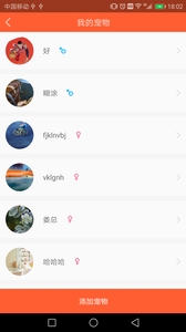 宠物保姆2