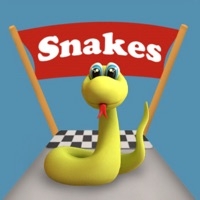 Snake Way 3D: Adventure Runios版