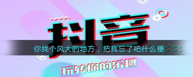 你找个风大的地方，把我忘了吧什么梗