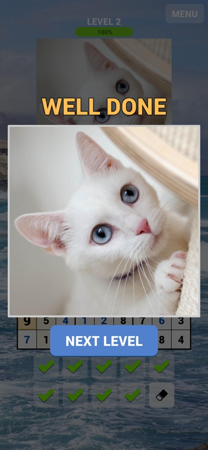 Sudoku Catsios版2