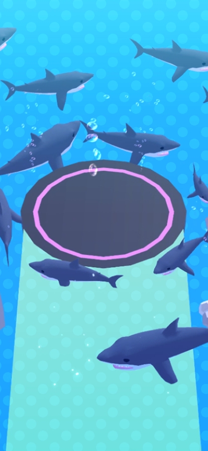Shark Festios版4