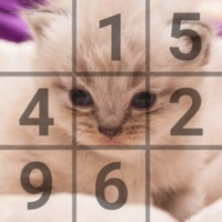 Sudoku Catsios版
