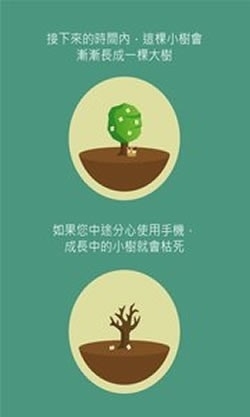 治愈低头族4