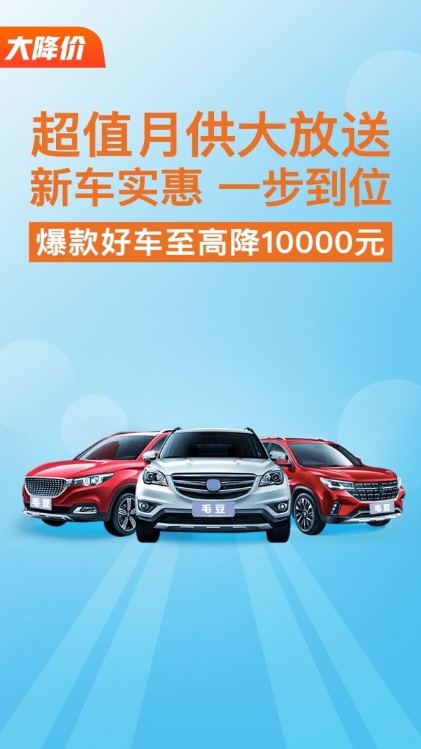 毛豆新车1