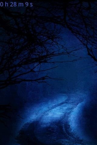 Forest1