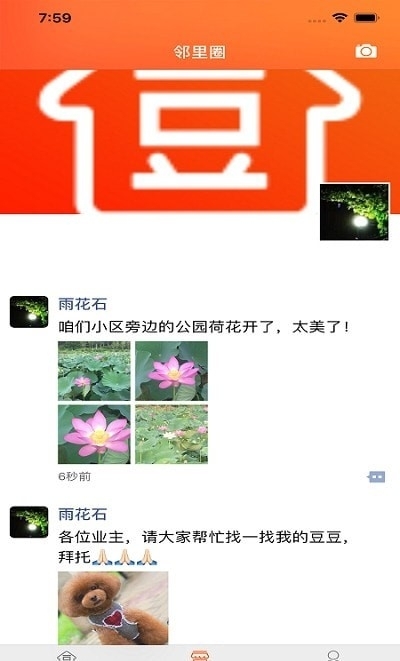 智慧豆豆1