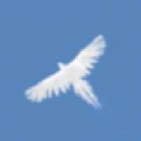 Sky Bird Flyios版