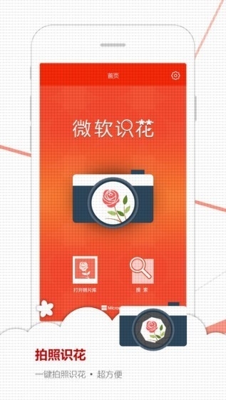 微软识花0