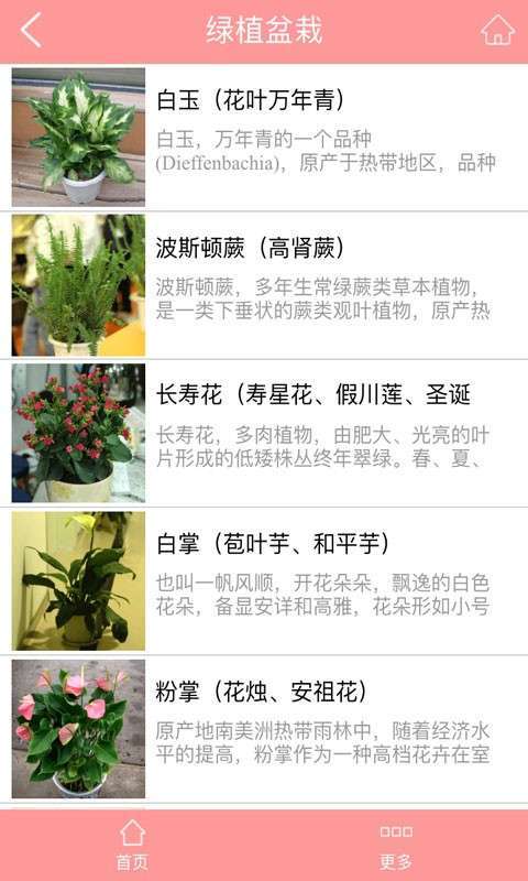 鲜花平台3