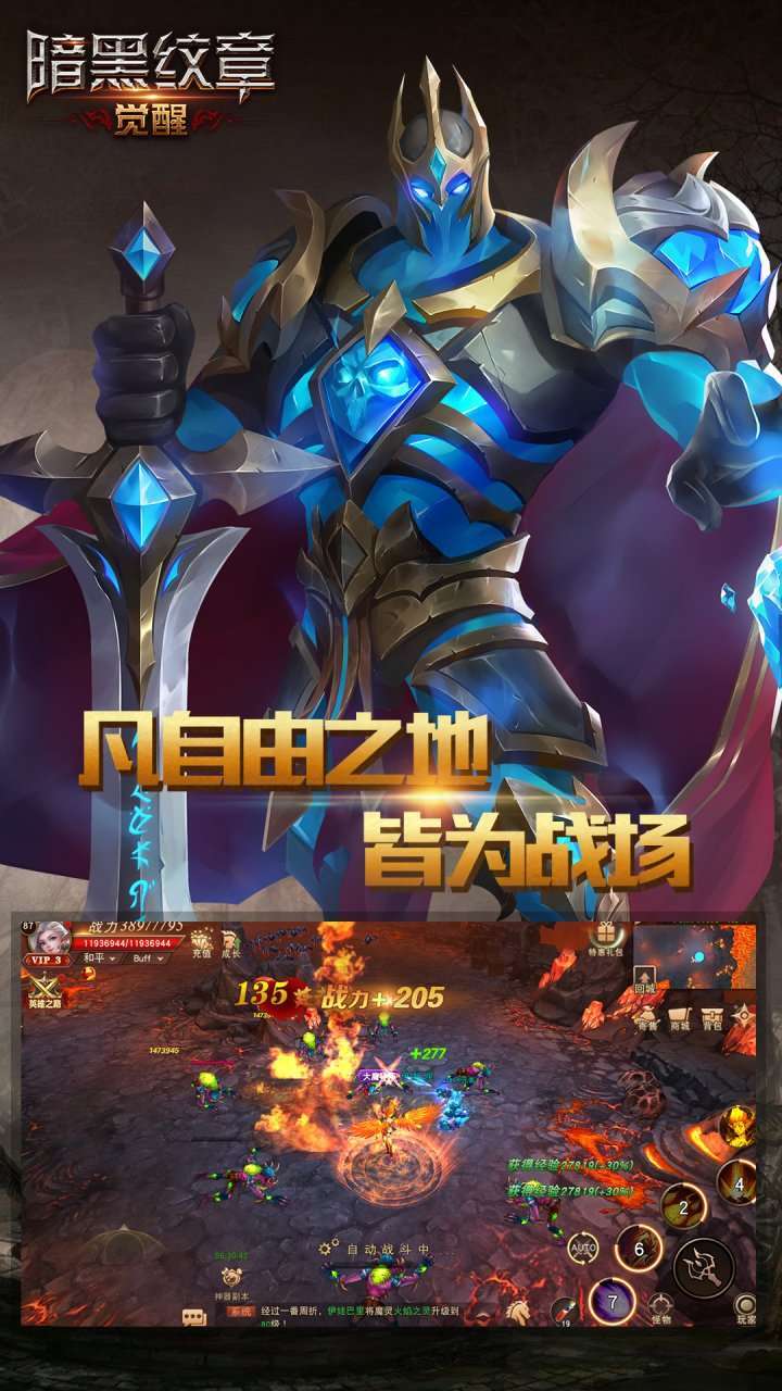 暗黑纹章觉醒1