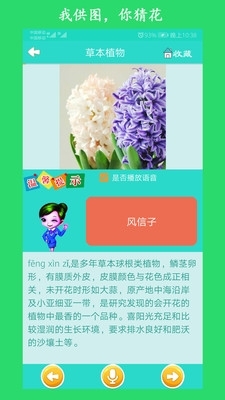 看图识花3