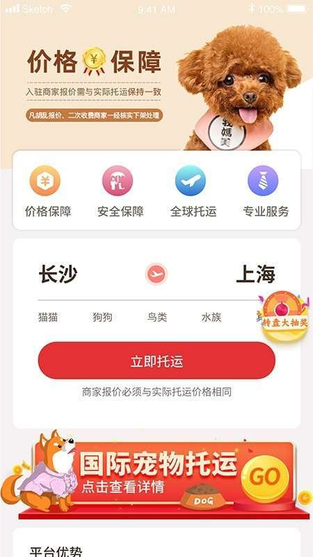 宠物托运pet2