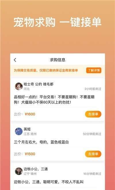 宠物市场商户版1