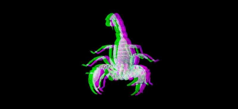 Scorpione F.A.L.U. The Gameios版4