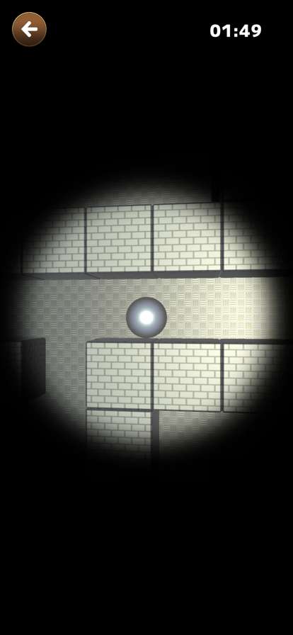 Maze Ball Randomios版3