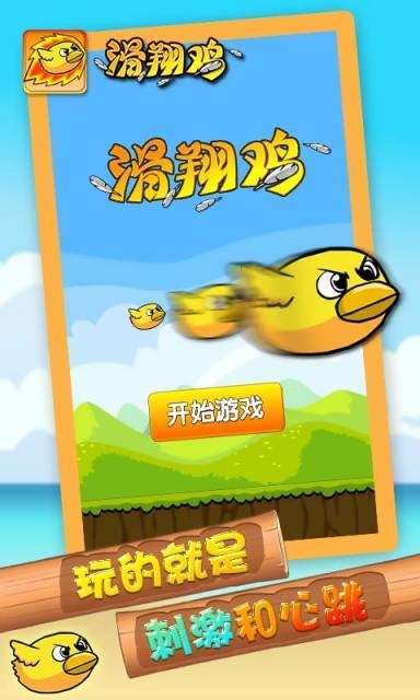 滑翔鸡2