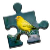Bird Watching Puzzleios版