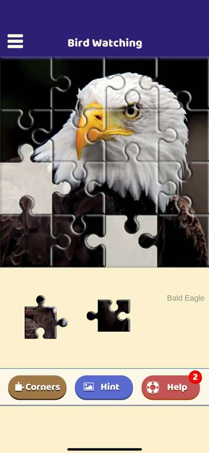 Bird Watching Puzzleios版1