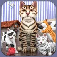 怀孕的小猫 3D simios版