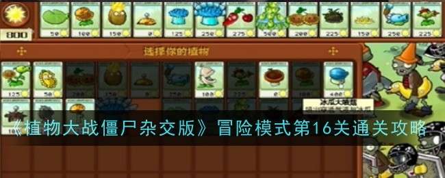 《植物大战僵尸杂交版》冒险模式第十六关怎么玩