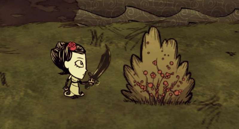 饥荒前期食物怎么选