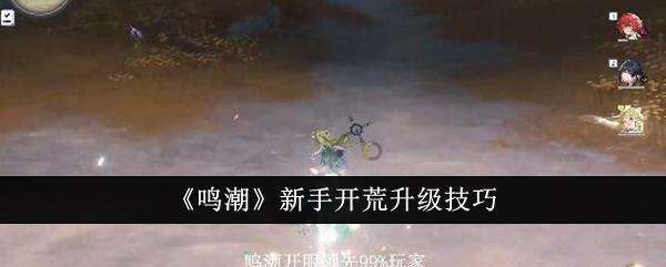 鸣潮新手开荒升级技巧