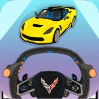 Steering Wheel Evolutionios版