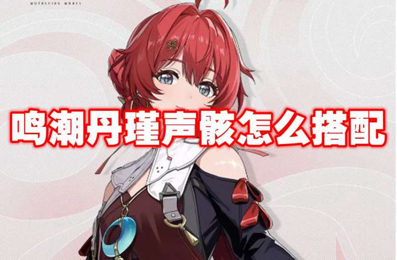 鸣潮丹瑾声骸怎么搭配