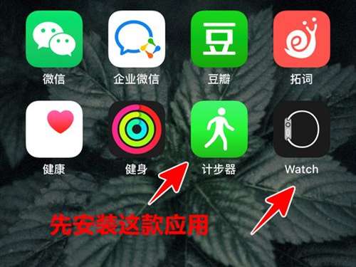 苹果手表如何显示运动步数