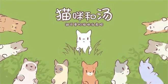 猫咪和汤森林怎么扩建,森林扩建攻略